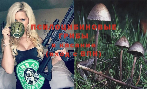 apvp Михайловка