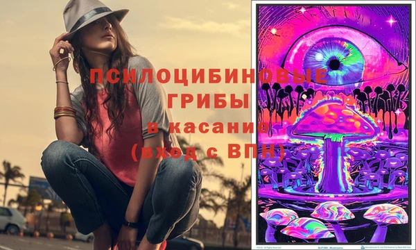 сатива Михайловск